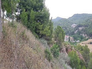 Teresa De Calcuta 2
