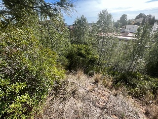 Pisos banco Pobla de Montornès (La)