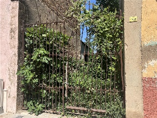 Llarg De S Vicent 2