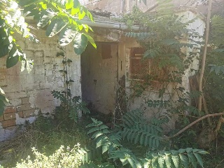 Llarg De S Vicent 6