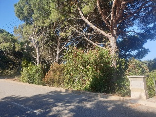 Versalles 2