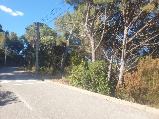 Versalles 3