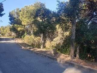 Versalles 5