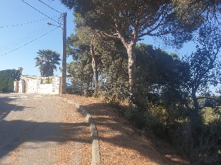 Versalles 6