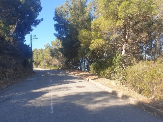 Versalles 8