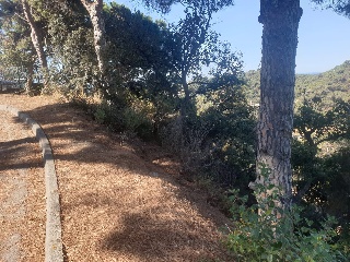 Versalles 9