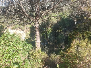 Versalles 10