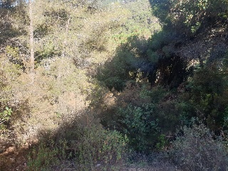 Versalles 11