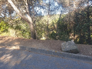 Versalles 13