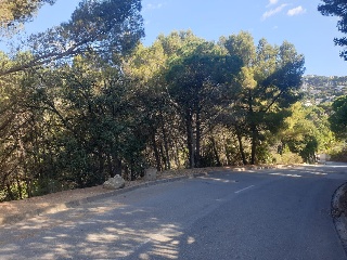 Versalles 14