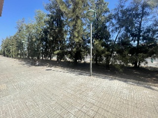 Deltebre 15
