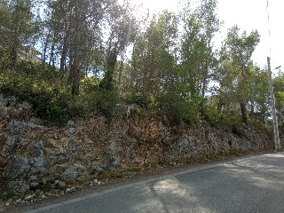 Mont Negre Del 5