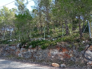 Mont Negre Del 6