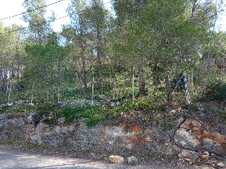 Mont Negre Del 7
