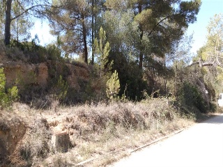 Mont Negre Del 8