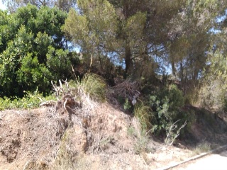 Mont Negre Del 9