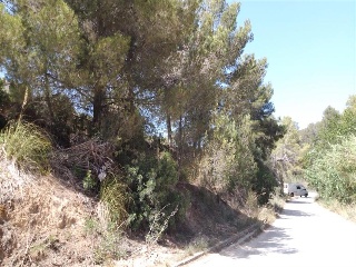 Mont Negre Del 10