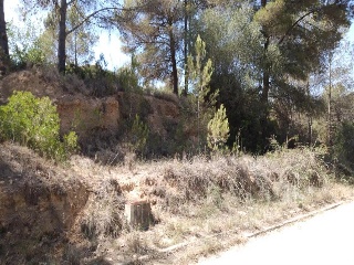 Mont Negre Del 11