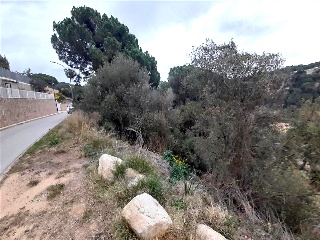 Senyera 2