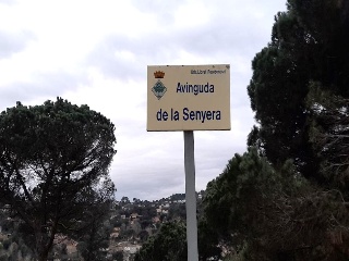Senyera 8