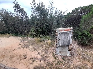 Senyera 2