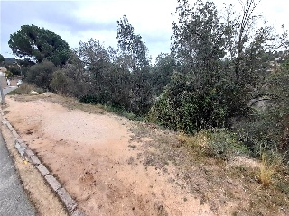 Senyera 3