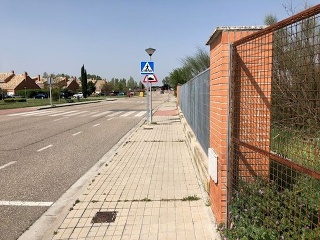 Cubera 3
