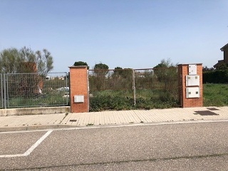 Cubera 5