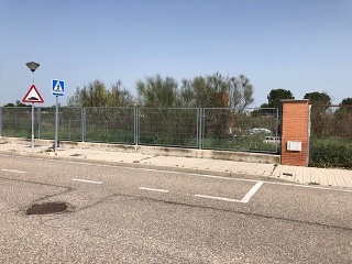 Cubera 7