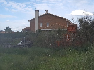 Cubera 10