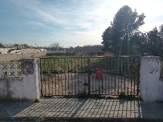 Seca Del 8