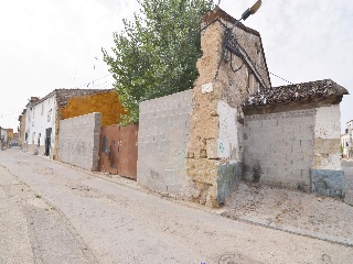 Alamo Grande 2