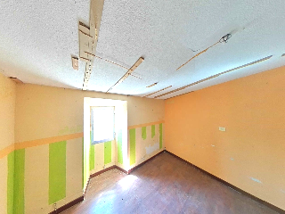 La Paloma 8
