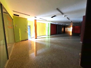 Roureda 2