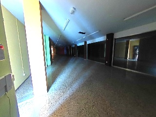 Roureda 5
