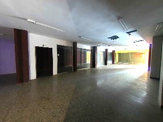 Roureda 6