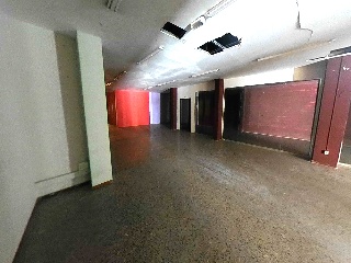 Roureda 7