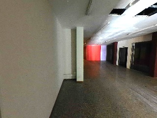 Roureda 8