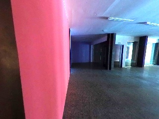 Roureda 11