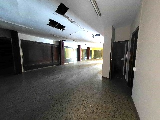 Roureda 33