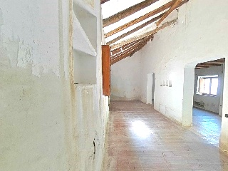 Erillas 5