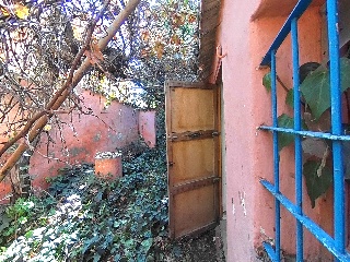 Erillas 22