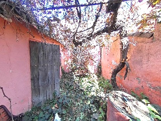 Erillas 26