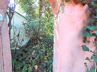 Erillas 27
