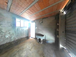 Llana 31