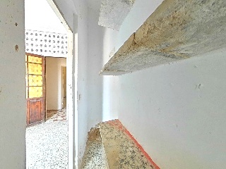 Mayor 5