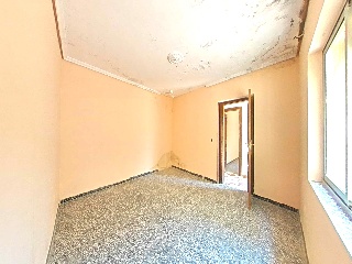 Mayor 7