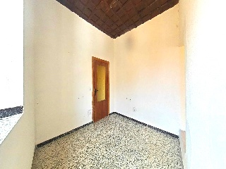 Mayor 16