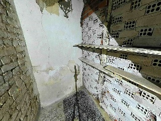 Mayor 29