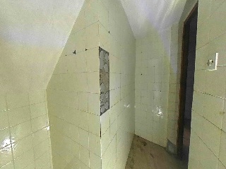 Campo Santo 29